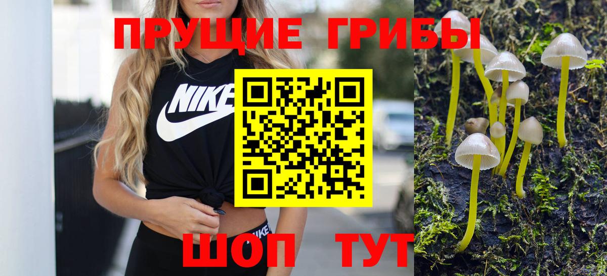Отрадное  Псилоцибиновые грибы Psilocybe  Вход с VPN 